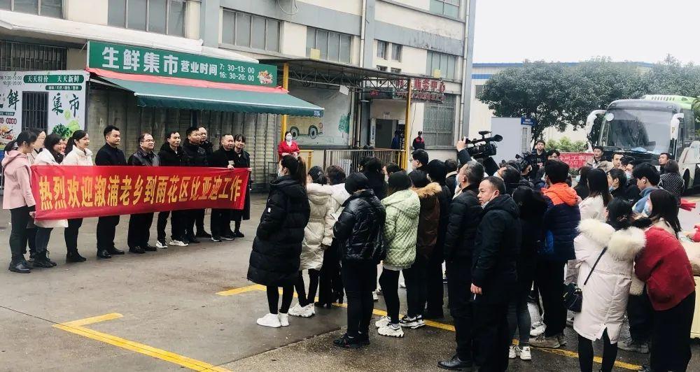 溆浦县小学全新招聘启事概览