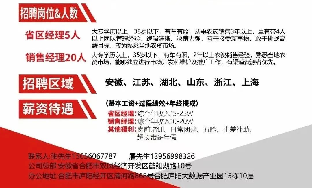 巢湖市科学技术局最新招聘概览