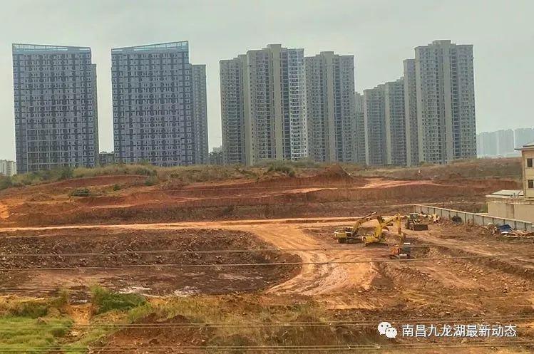 南长区级公路维护监理事业单位人事任命最新公告