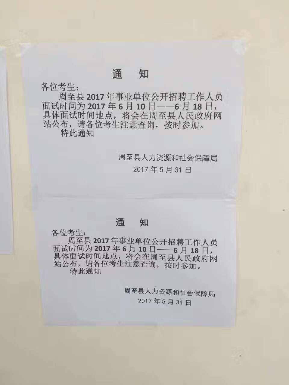 周至县人民政府办公室最新招聘启事概览