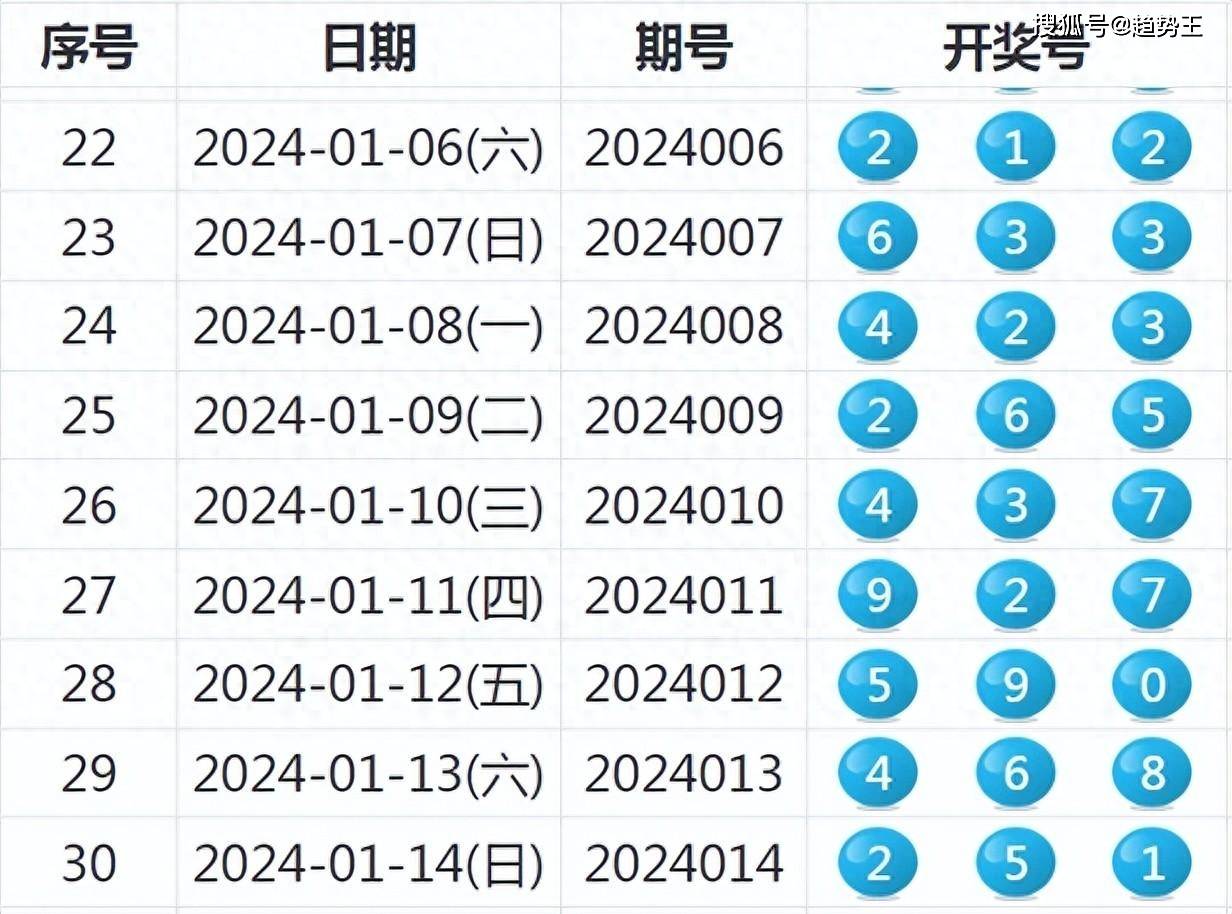 2024新澳开奖结果,互动性执行策略评估_3D54.231