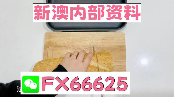 新澳门彩精准一码内,精细分析解释定义_动态版98.304