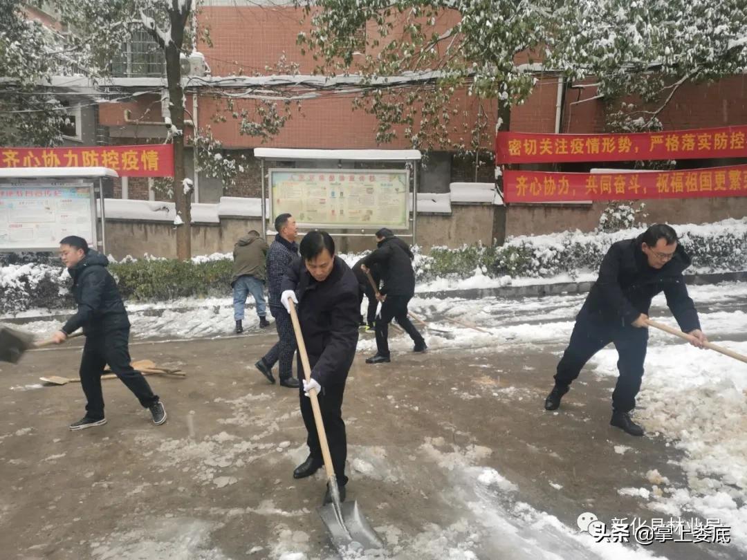 上街区自然资源和规划局最新项目，重塑城市生态与未来发展蓝图