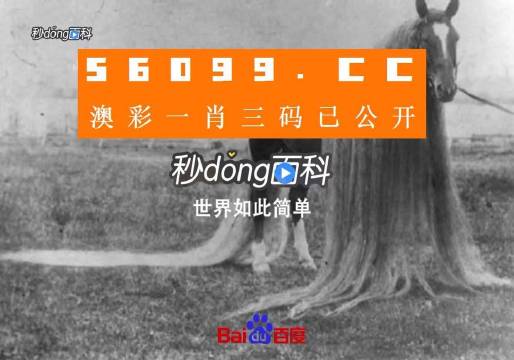 澳门一肖一码一必中一肖同舟前进,动态解析词汇_社交版46.490