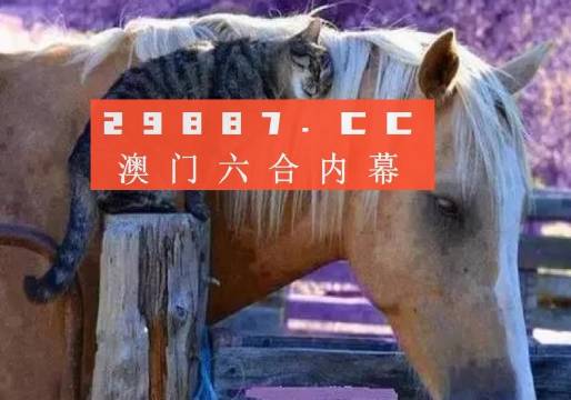 澳门一一码一特一中准选今晚,实地评估解析数据_豪华版59.219