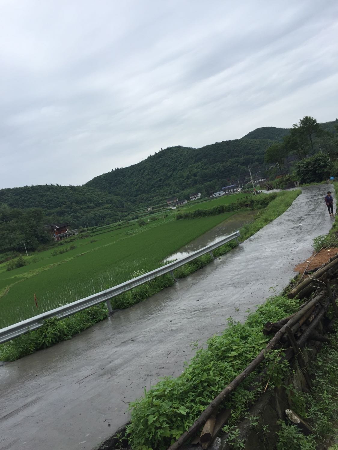 姚家坝乡天气预报更新通知