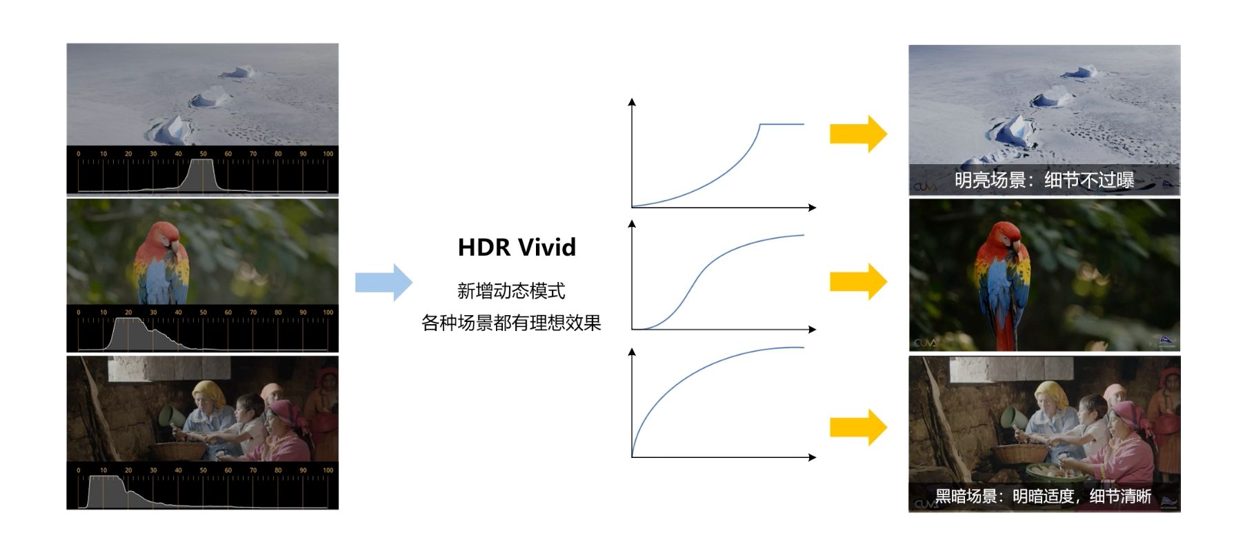 一肖一码,数据设计驱动解析_HDR25.755