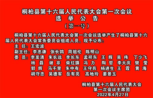 桐柏县人民政府办公室最新人事任命，县域发展新人才布局启动