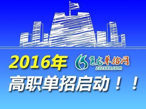 2024澳门正版免费精准大全,持久性方案设计_粉丝款40.58