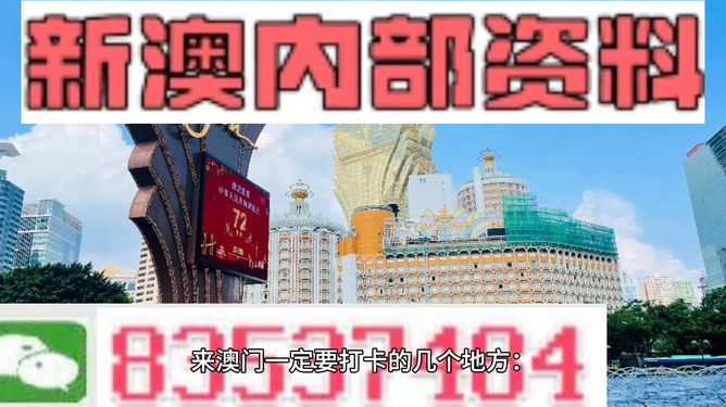 新澳精准资料免费提供265期,正确解答定义_挑战款38.846