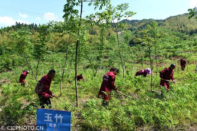 黄柏镇最新交通动态报道