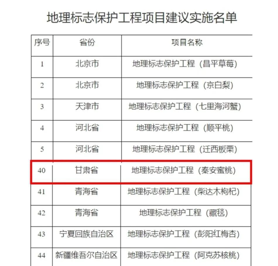 新澳2024年历史开奖记录查询结果,广泛的解释落实方法分析_标准版90.65.32