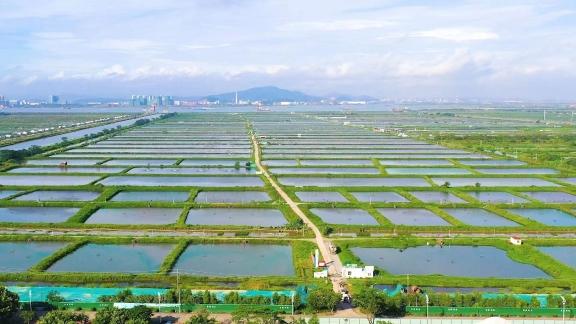 花都区市场监督管理局新项目助力区域经济发展与市场监管效能提升