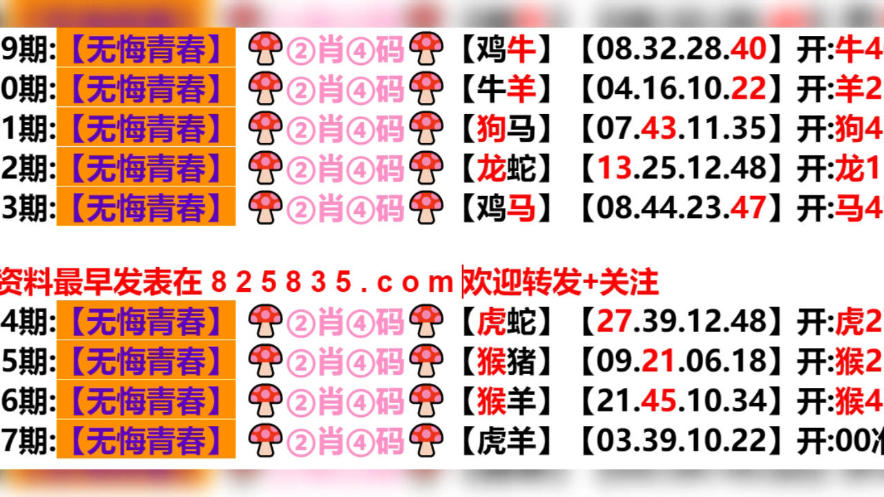 2024新奥门天天开好彩大全85期,深层数据执行策略_Max52.559