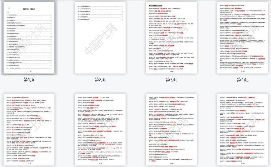 精准内部三肖免费资料大全,数据导向策略实施_铂金版72.726