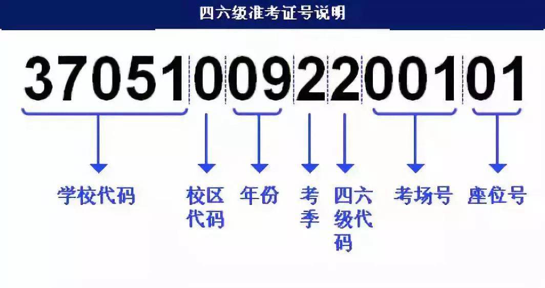 濠江论坛澳门资料查询,迅速执行解答计划_冒险版73.226