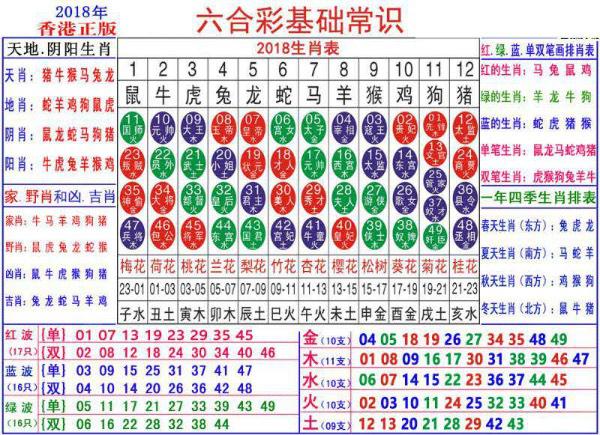 澳门正版资料大全资料生肖卡,全面解答解释落实_KP28.534