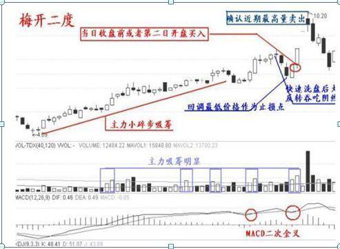 管家婆资料精准一句真言,平衡性策略实施指导_旗舰版3.639