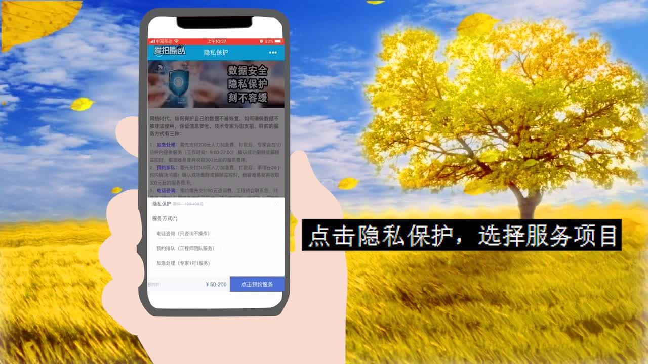 丿萝莉丶兔灬